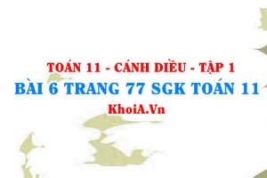 Bài 6 trang 77 SGK Toán 11 tập 1 Cánh Diều